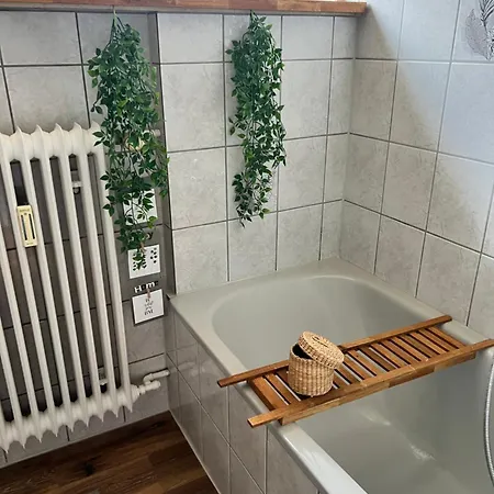 Apartment Schwarzwald Vibes Im Kuckucksquartier38 Wandern Bike Relax