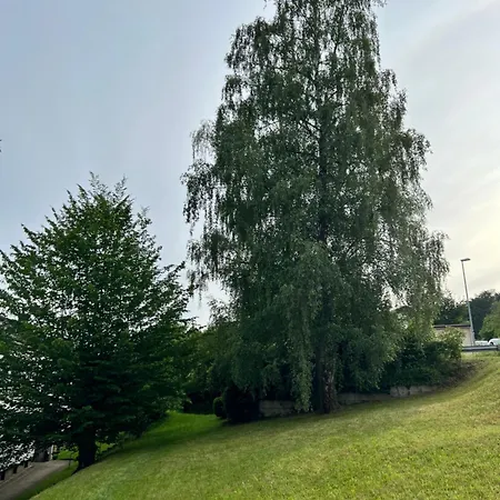 Schwarzwald Vibes Im Kuckucksquartier38 Wandern Bike Relax Apartment