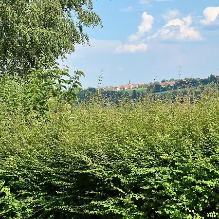 Lejlighed Schwarzwald Vibes Im Kuckucksquartier38 Wandern Bike Relax Unterreichenbach