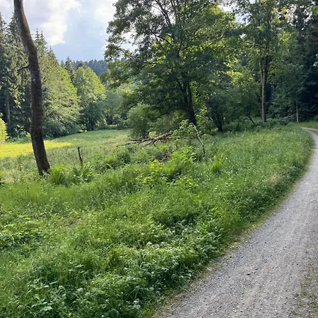 Apartment Schwarzwald Vibes Im Kuckucksquartier38 Wandern Bike Relax *