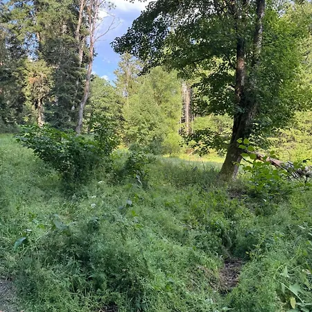 Schwarzwald Vibes Im Kuckucksquartier38 Wandern Bike Relax Unterreichenbach