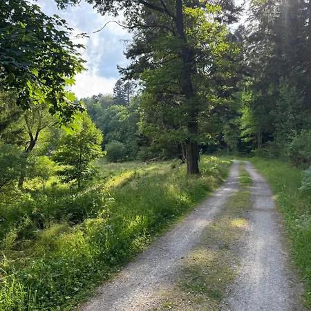 Schwarzwald Vibes Im Kuckucksquartier38 Wandern Bike Relax *
