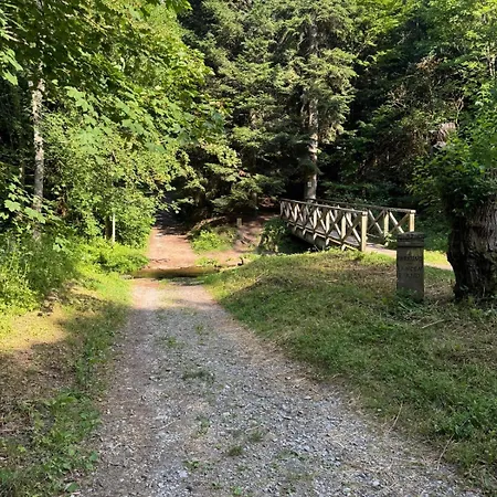 Schwarzwald Vibes Im Kuckucksquartier38 Wandern Bike Relax *