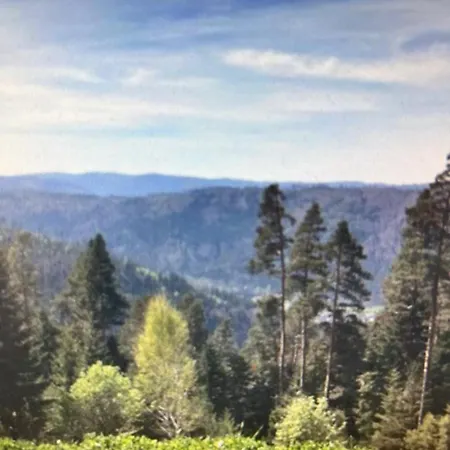 Schwarzwald Vibes Im Kuckucksquartier38 Wandern Bike Relax Apartment *
