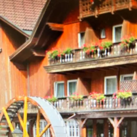 Schwarzwald Vibes Im Kuckucksquartier38 Wandern Bike Relax Apartment
