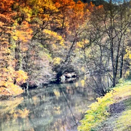 Lejlighed Schwarzwald Vibes Im Kuckucksquartier38 Wandern Bike Relax *