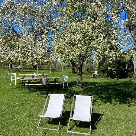 Schwarzwald Vibes Im Kuckucksquartier38 Wandern Bike Relax Apartment Unterreichenbach